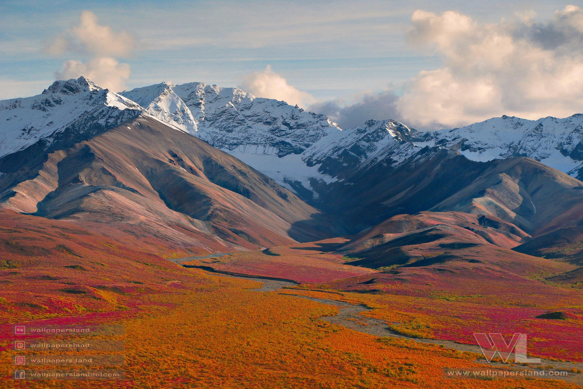 Natures & Landscapes