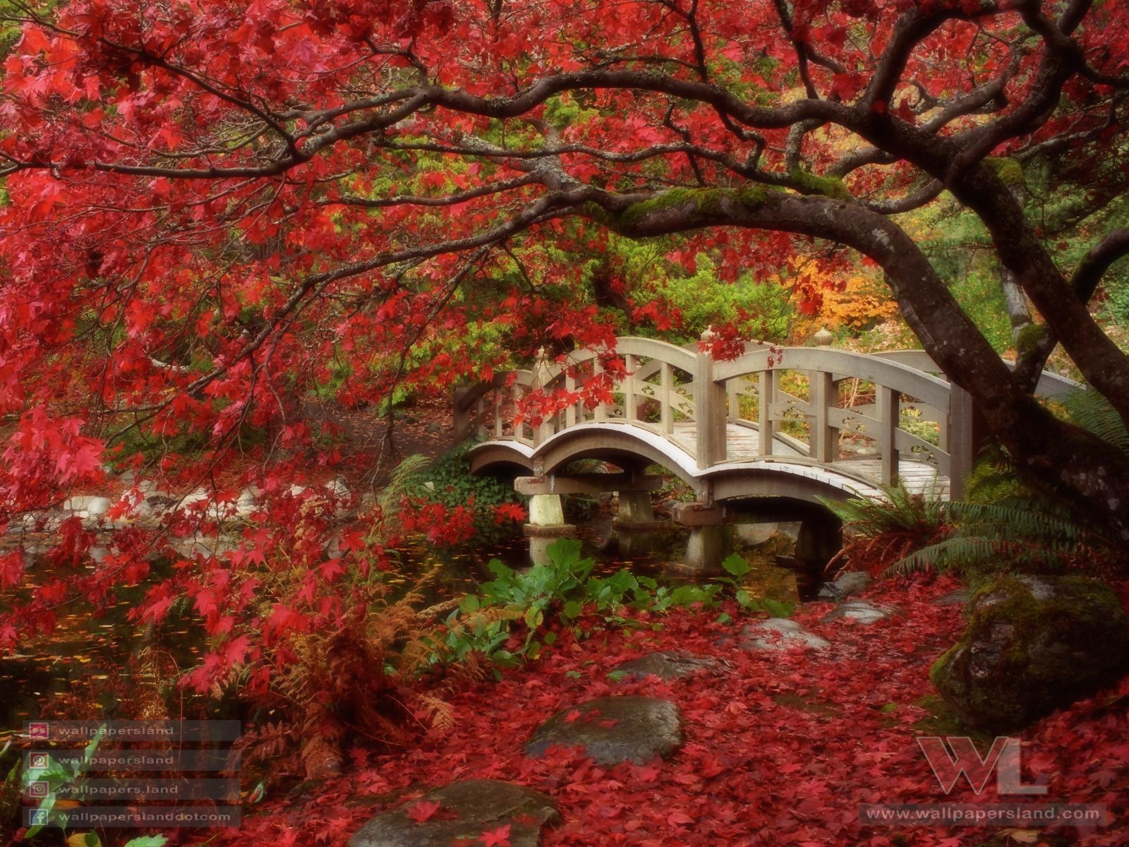 Japanese Garden, Royal Roads University, British Columbia