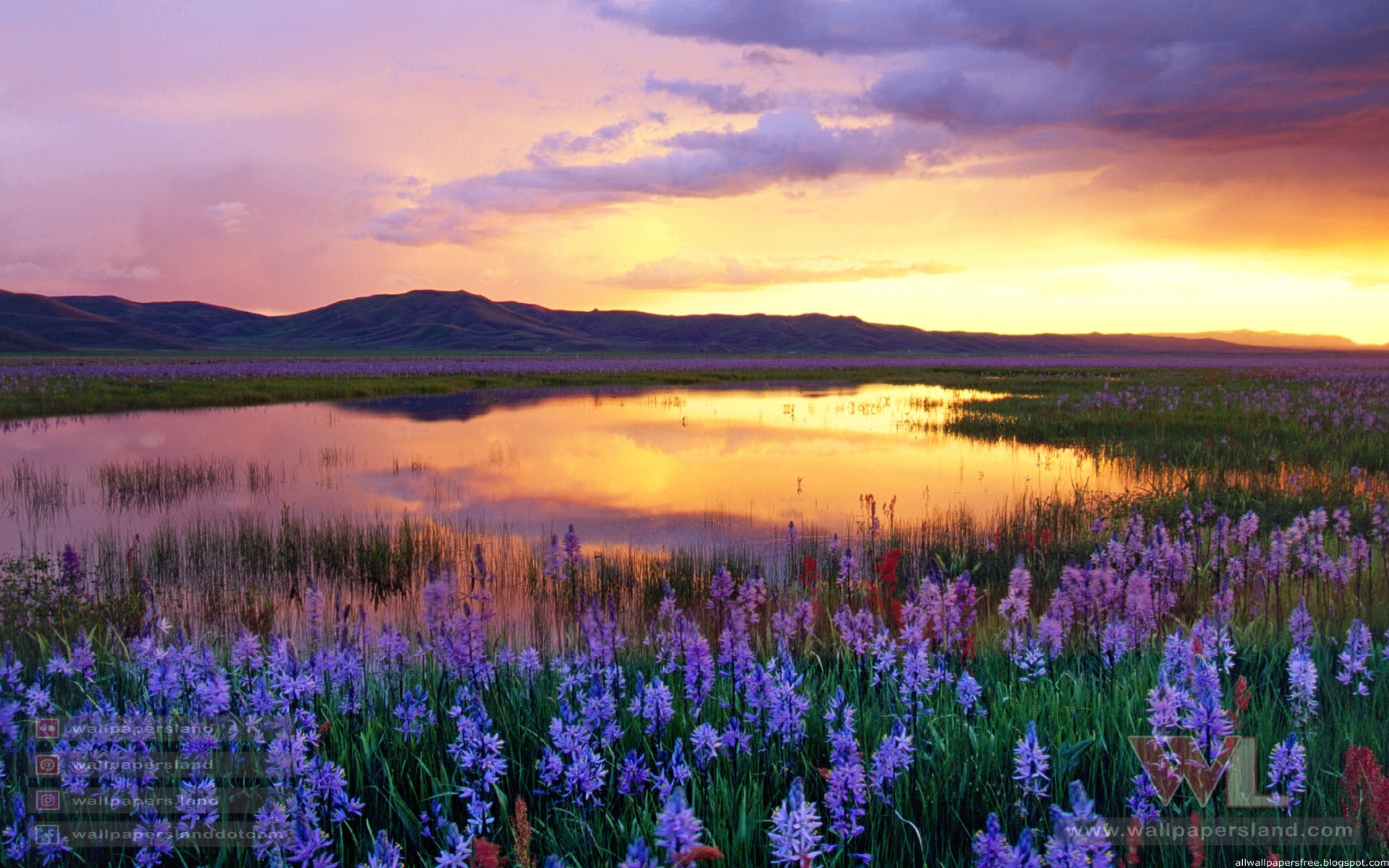 Windows 7 Wallpapers