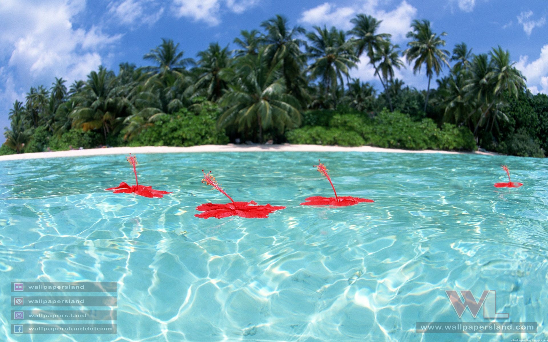 Beach Wallpapers