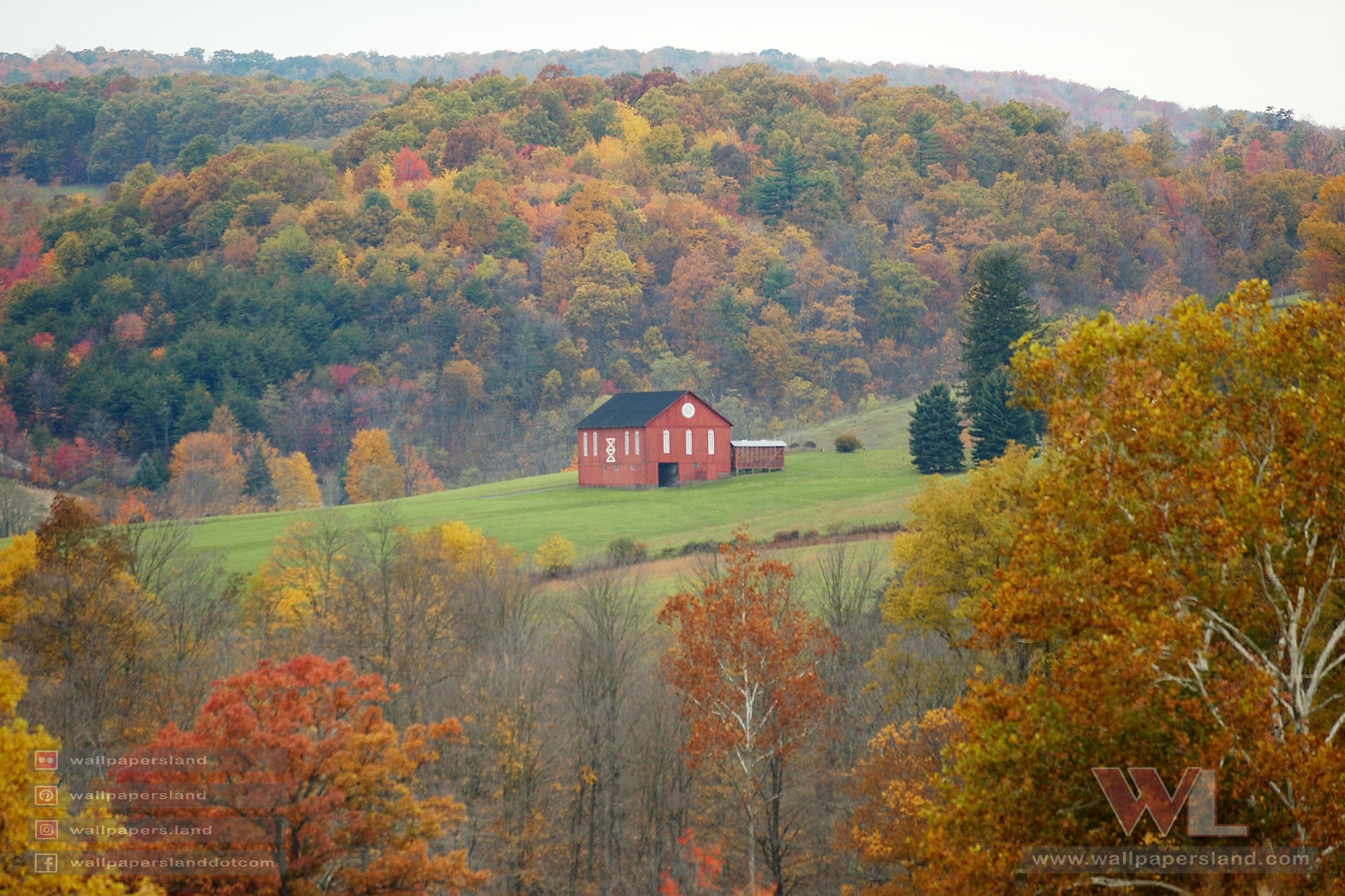 Natures & Landscapes