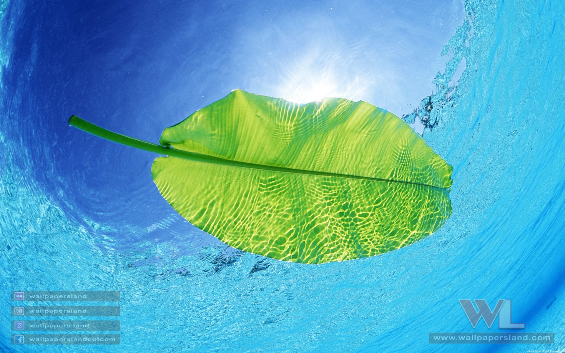 Beach Wallpapers