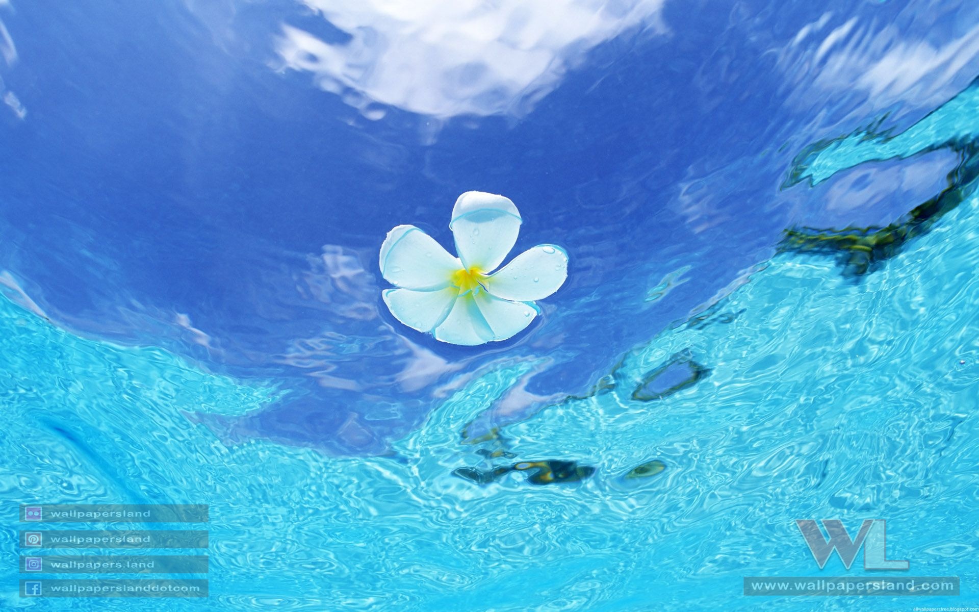 Beach Wallpapers