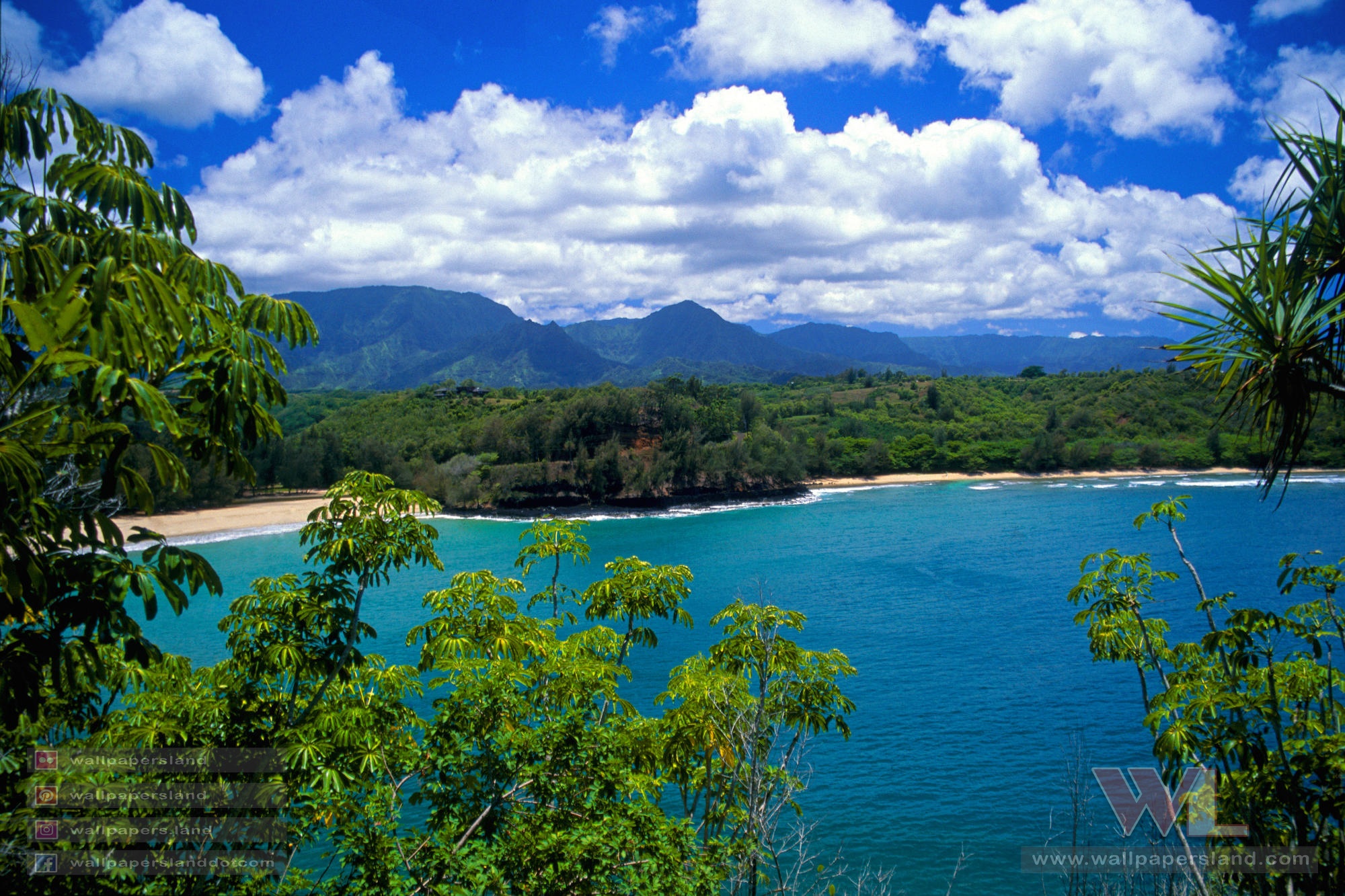 Natures & Landscapes