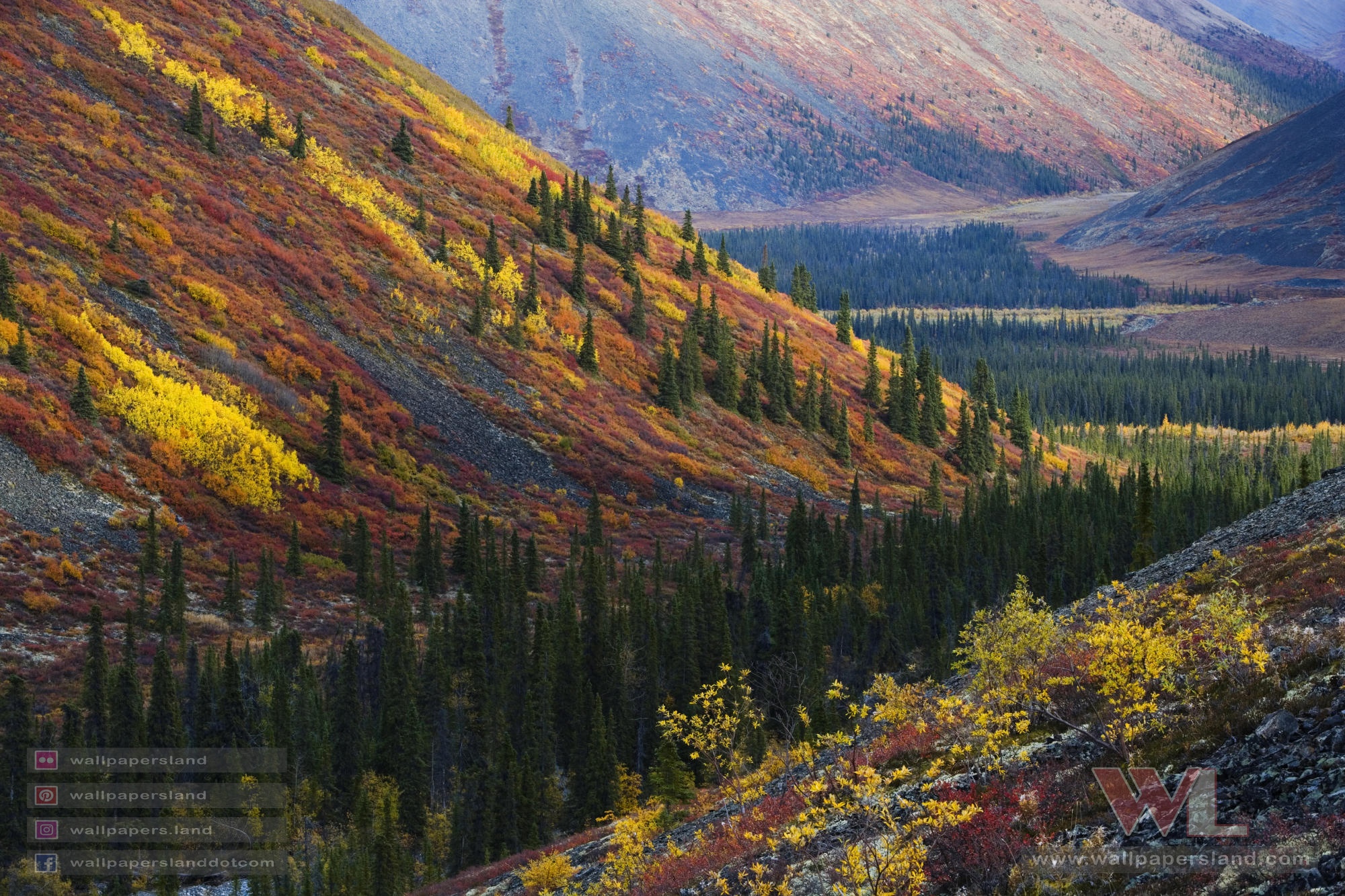 Natures & Landscapes