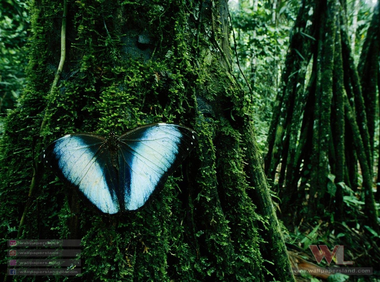 Natures & Landscapes