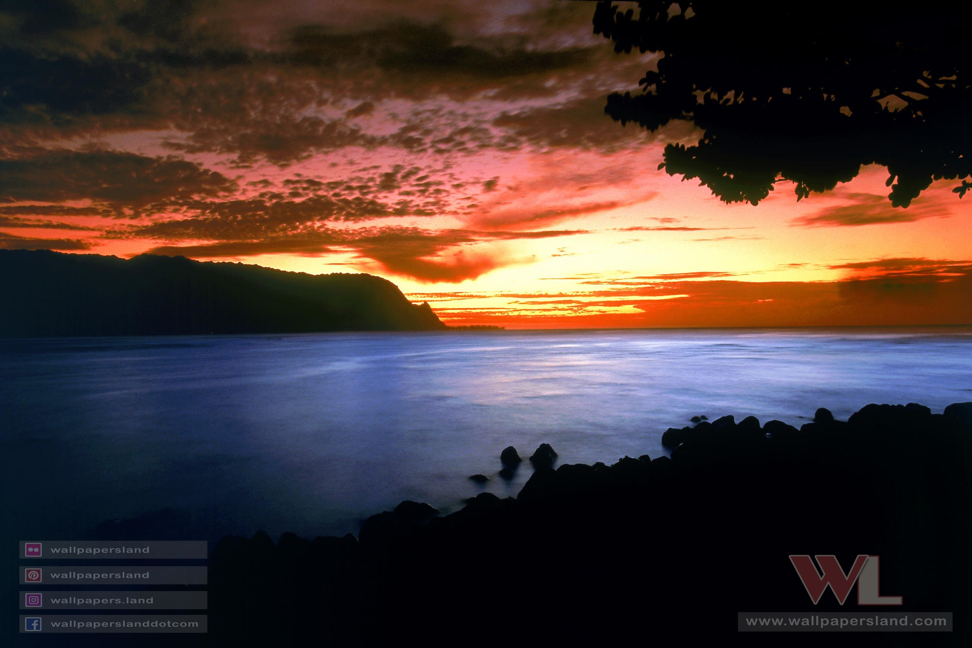 Natures & Landscapes