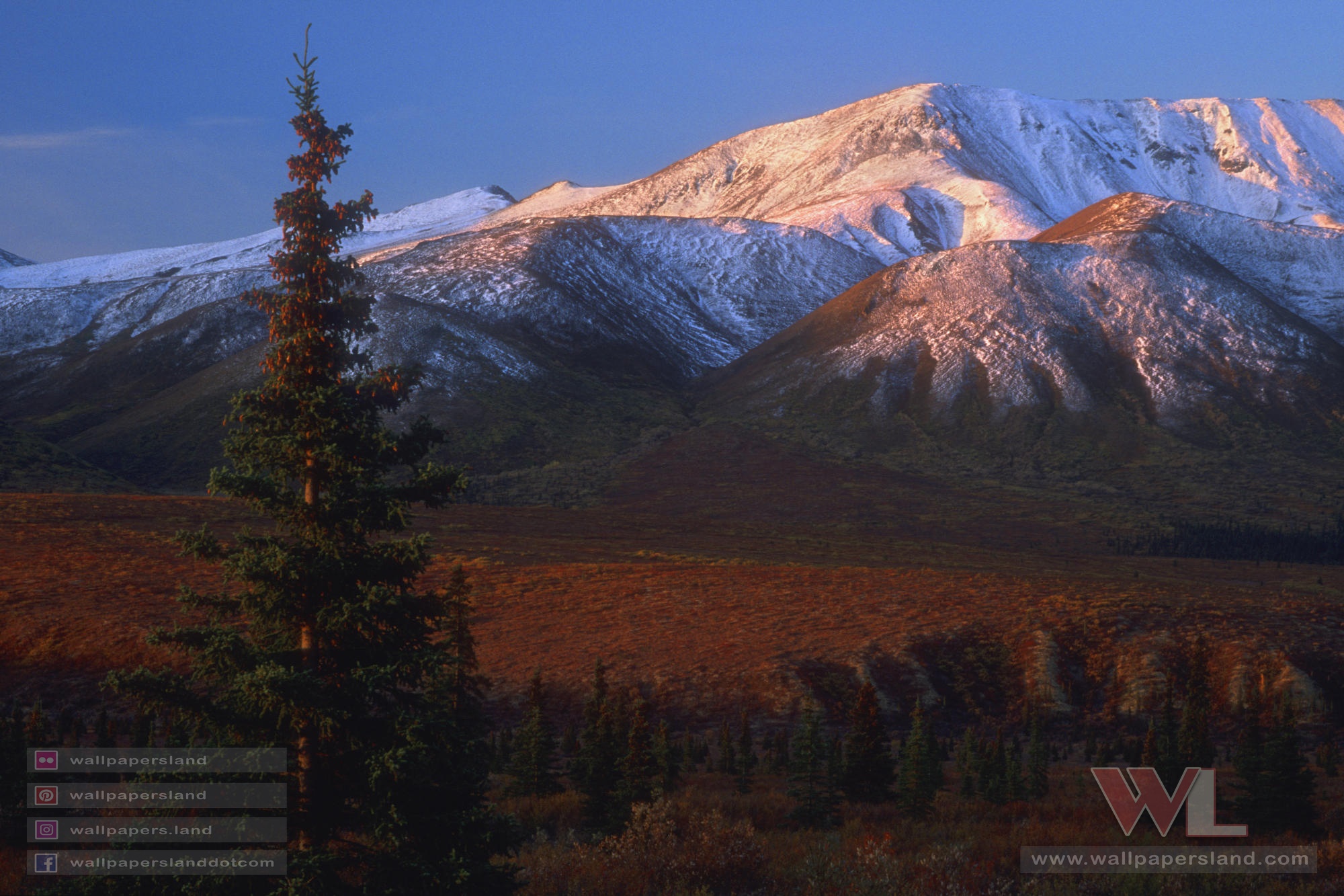 Natures & Landscapes