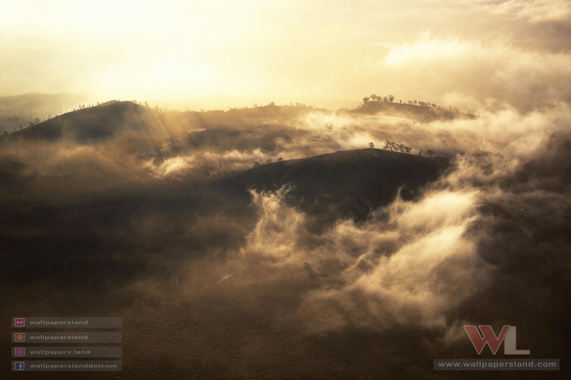 Natures & Landscapes